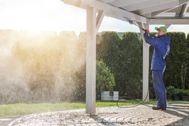 Best House Exterior Washing  in Moorefield, WV