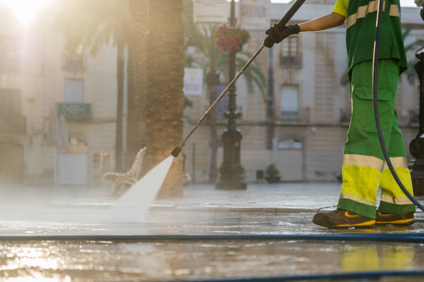 Best Sidewalk and Walkway Cleaning  in Moorefield, WV